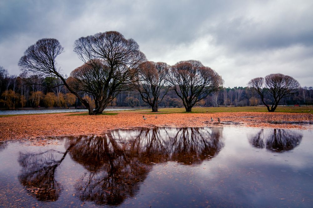 Photograph by Алексеев Сергей