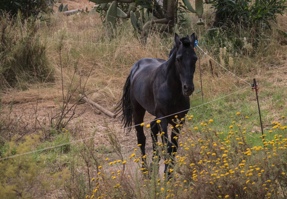 Photograph by Malinda Badenhorst