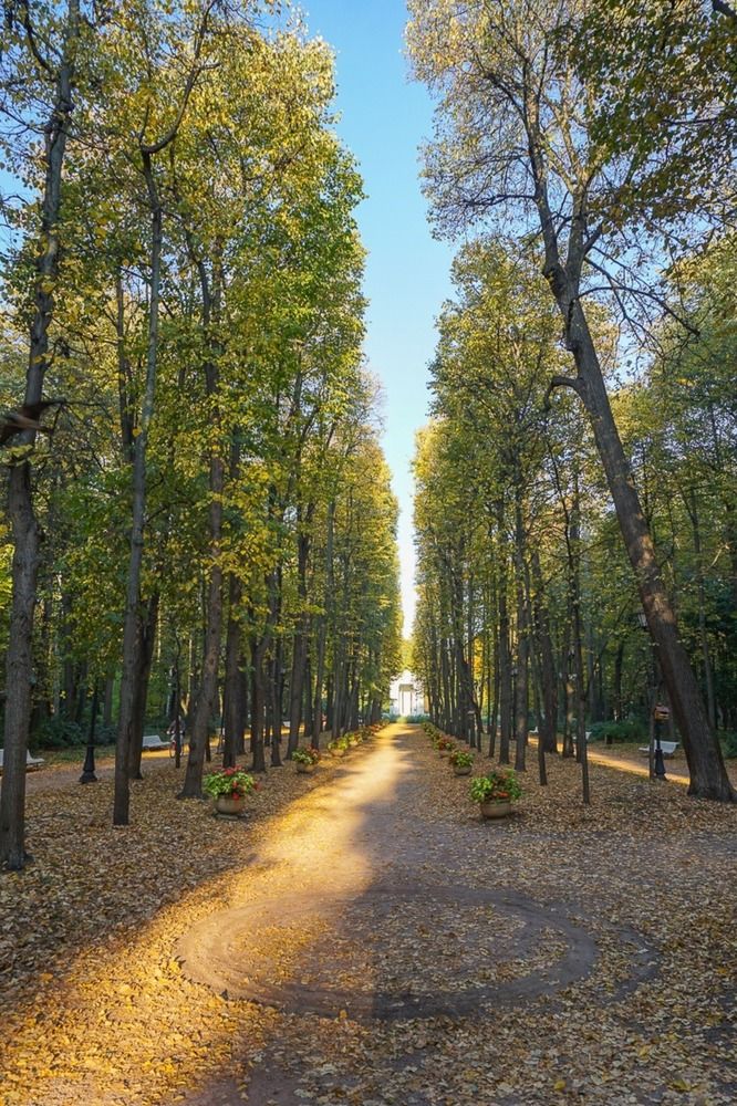 В парке Горького