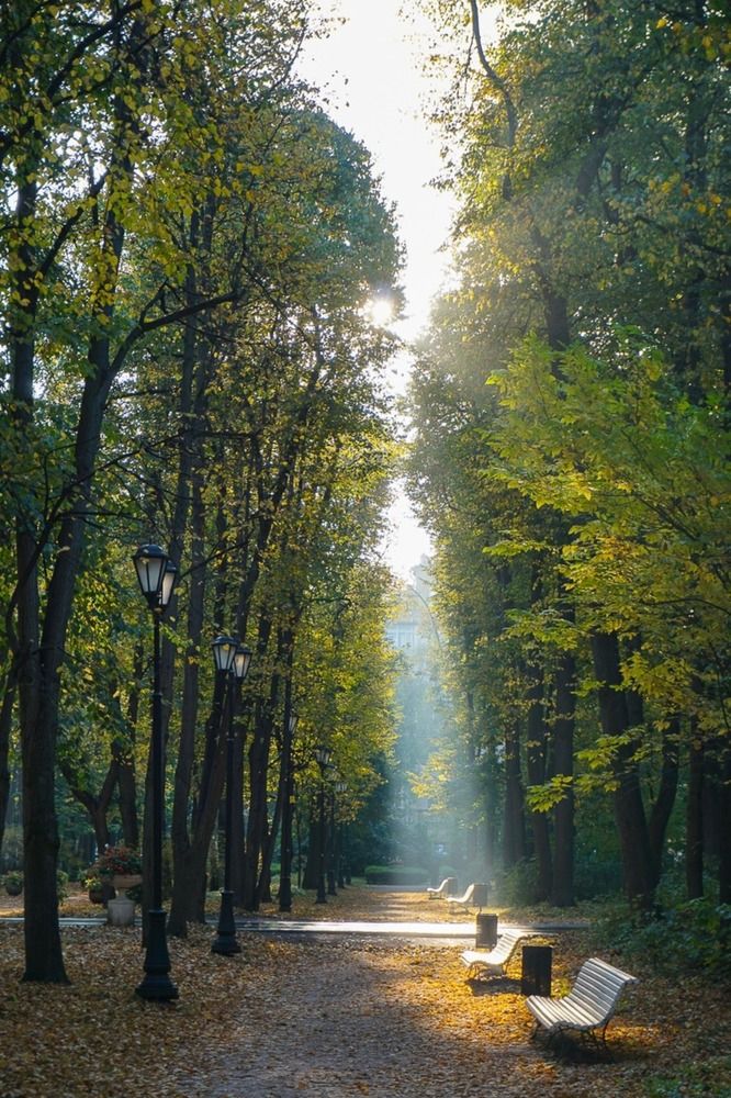 В парке Горького