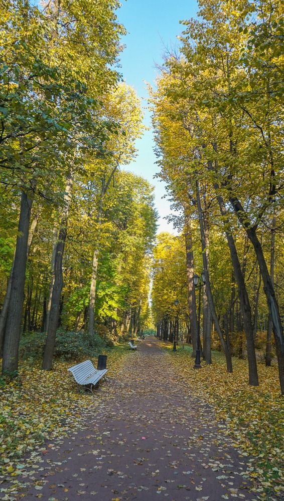 В парке Горького