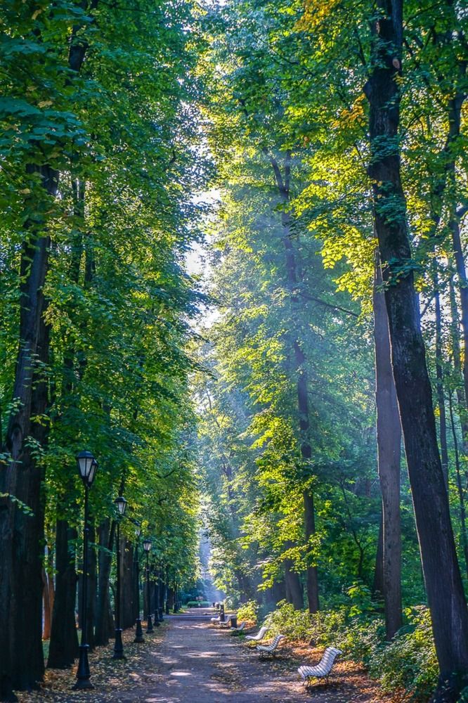 В парке Горького