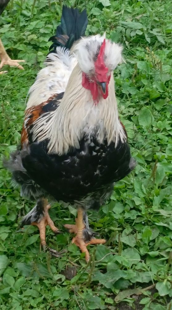 Фотография автора Мария