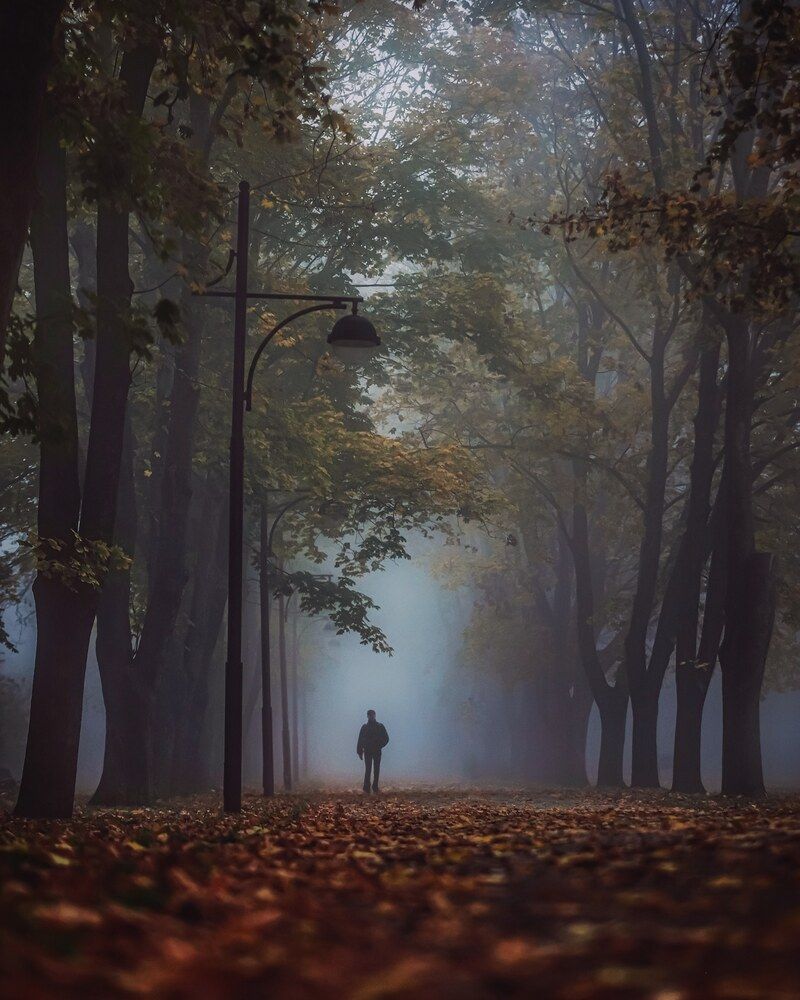 Photograph by Владимир Кульбит