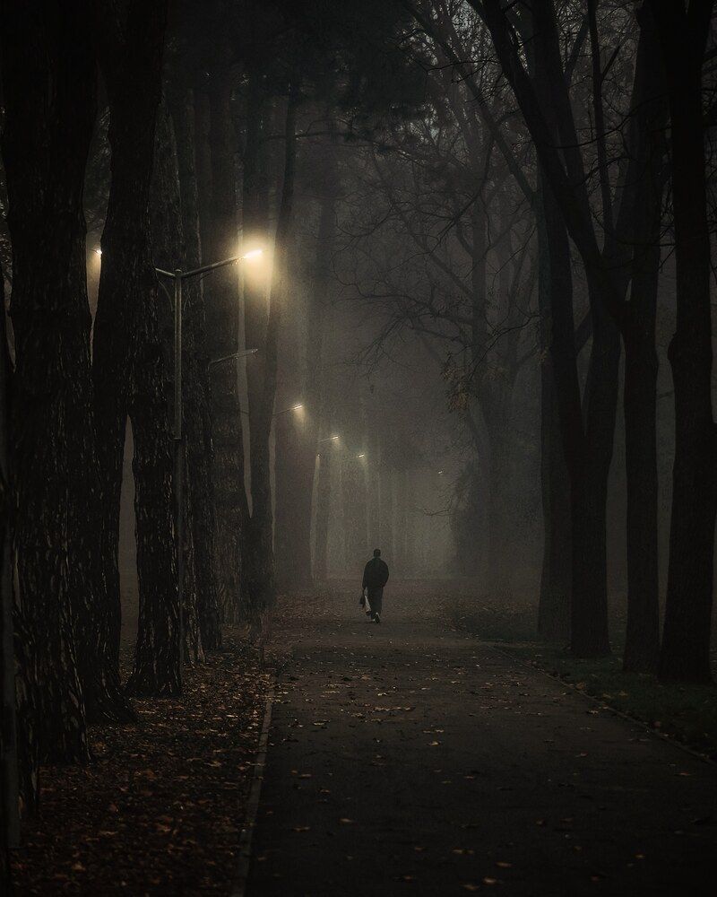 Photograph by Владимир Кульбит