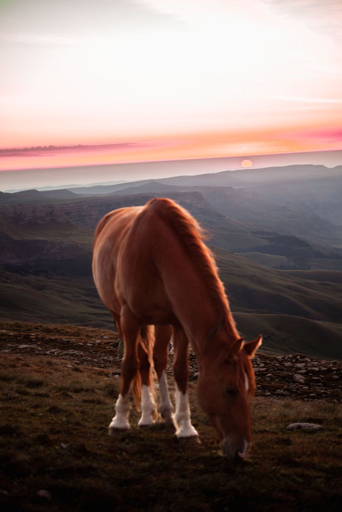 Photograph by Наталья Бурименко