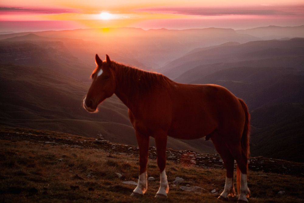 Photograph by Наталья Бурименко