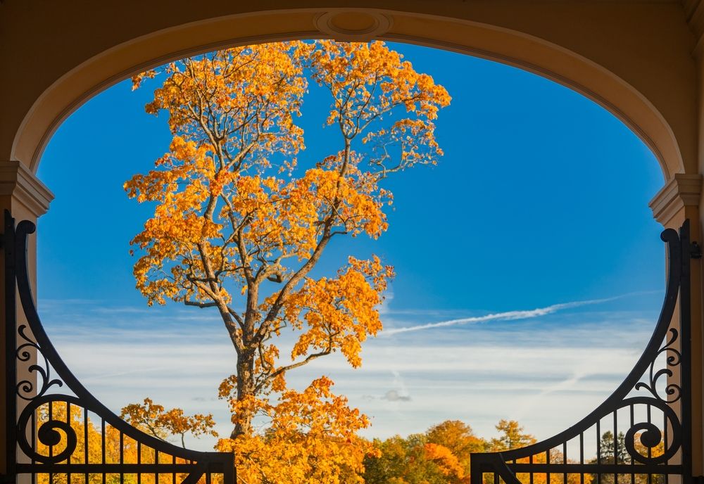 Фотография автора Ксения Зайцева