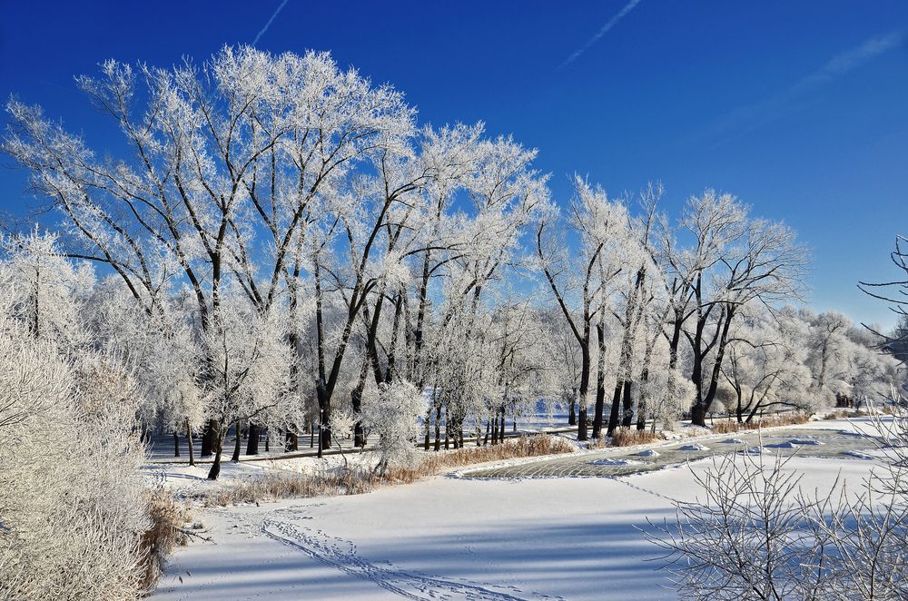 Фотография автора Антип