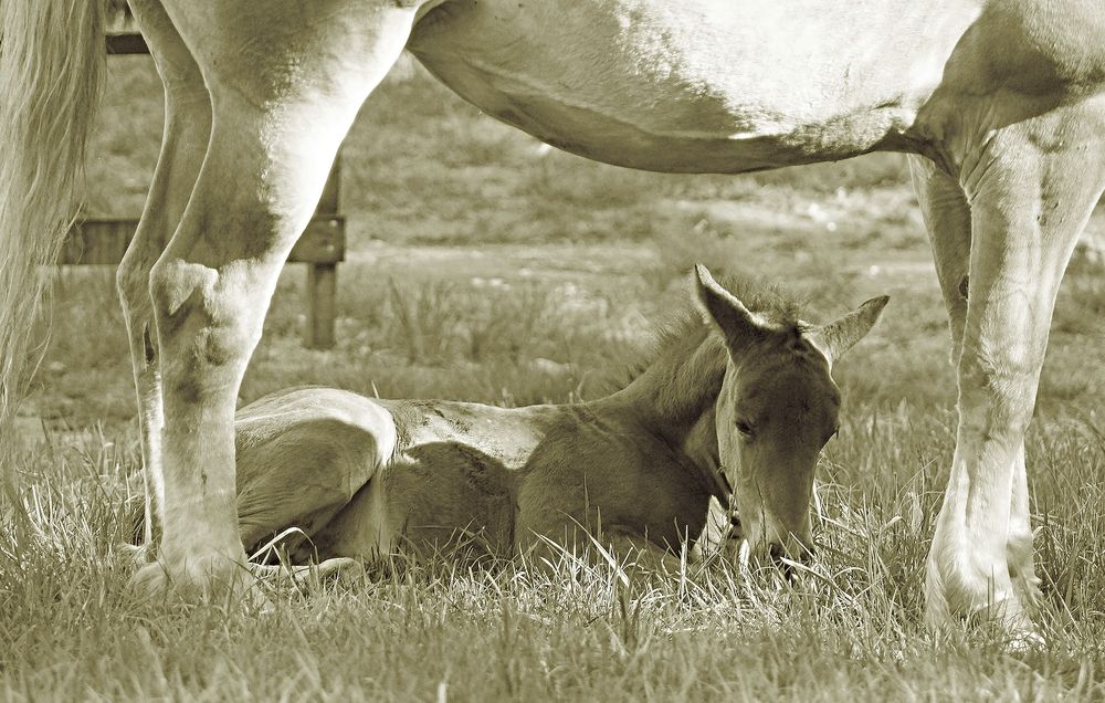 Photograph by Светлана Логинова