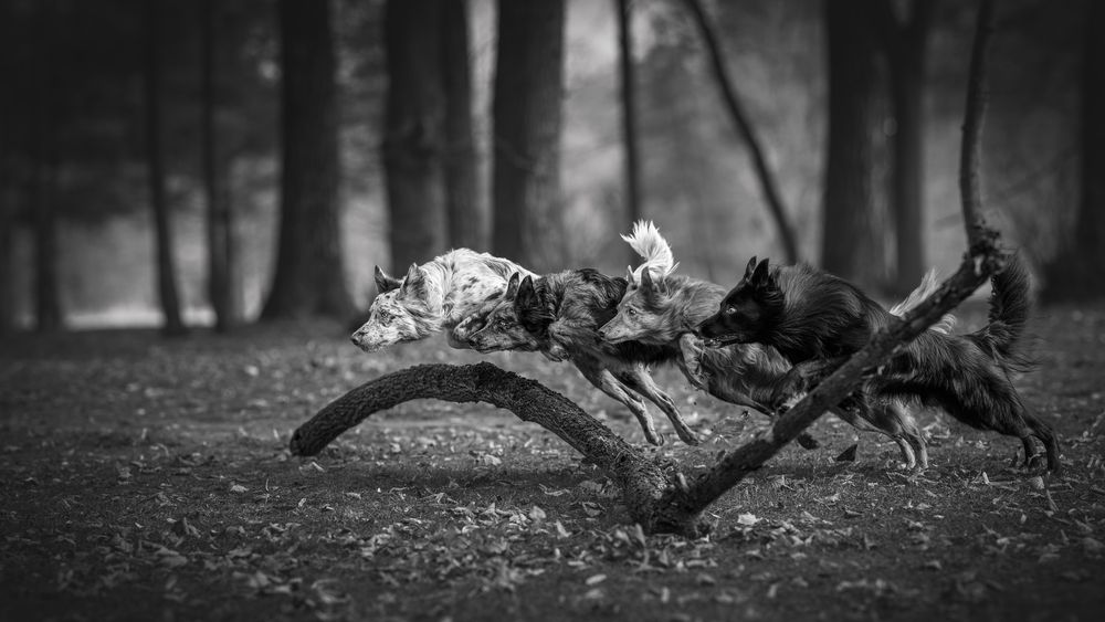 Photograph by Lucie Nermuťová