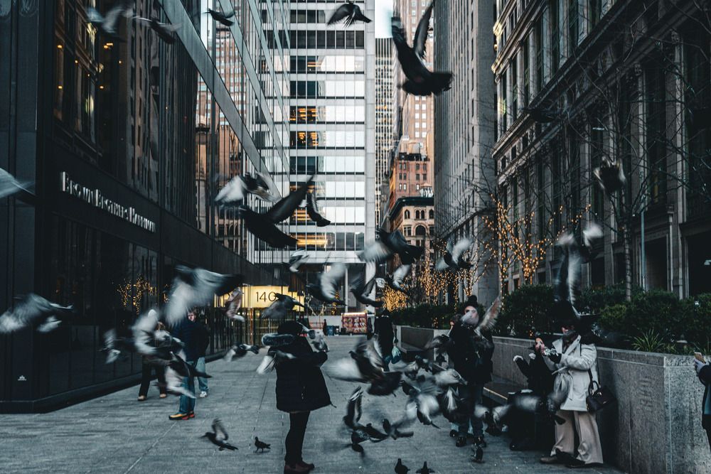 Photograph by Athul Konikkara