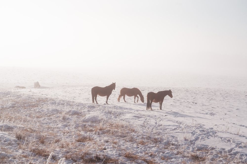 Photograph by Полина Котегова
