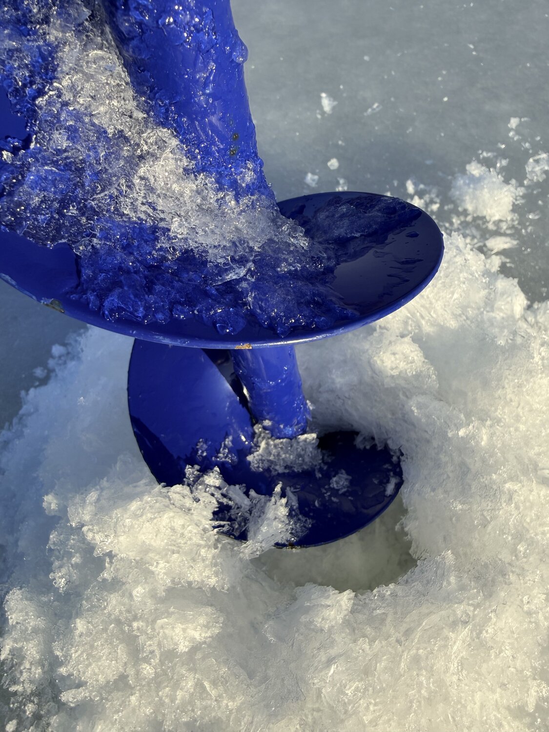 Photo #13044964