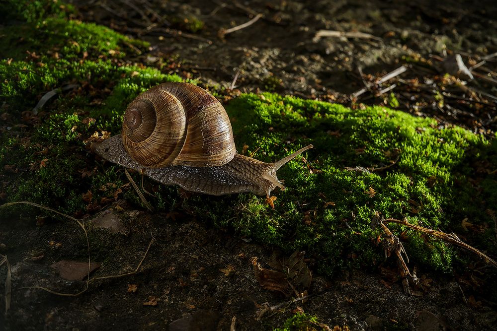 Photograph by Владимир Степин