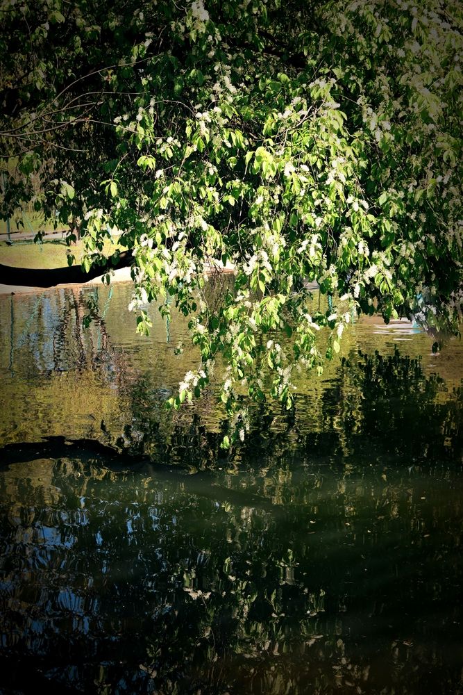 Photograph by Дарья Зуевская