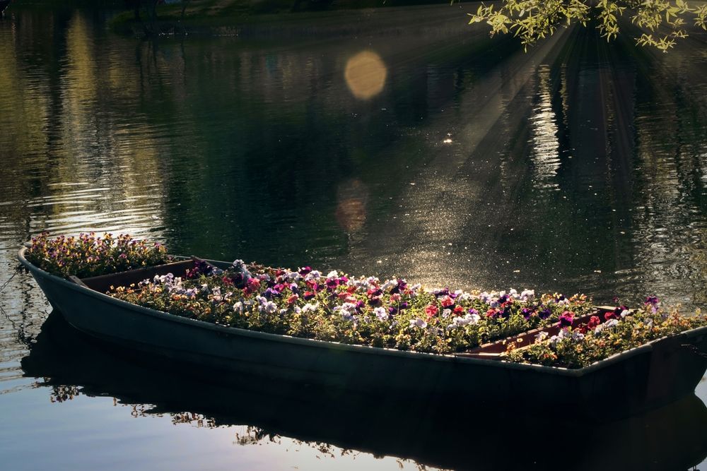 Photograph by Дарья Зуевская