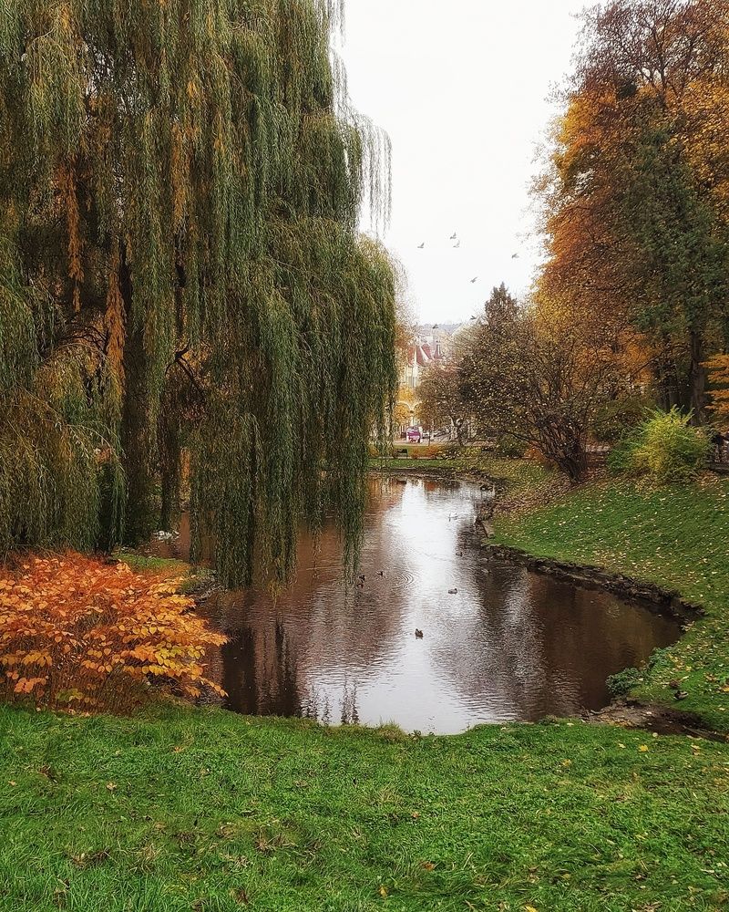 Photograph by Наталия Дроздова