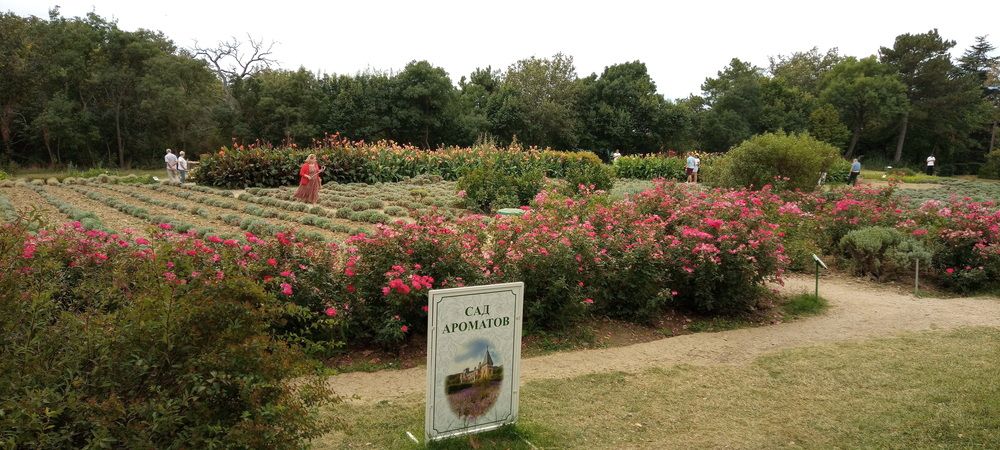 Photograph by Анатолий Пермяков