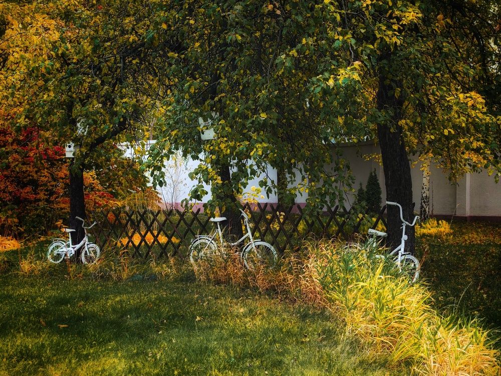 Photograph by Татьяна Соколовская