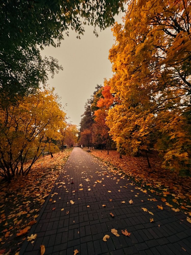 Photograph by Татьяна Соколовская