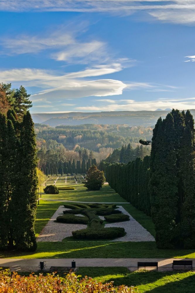 Фотография автора Ольга