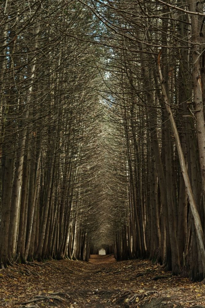 Фотография автора Ольга