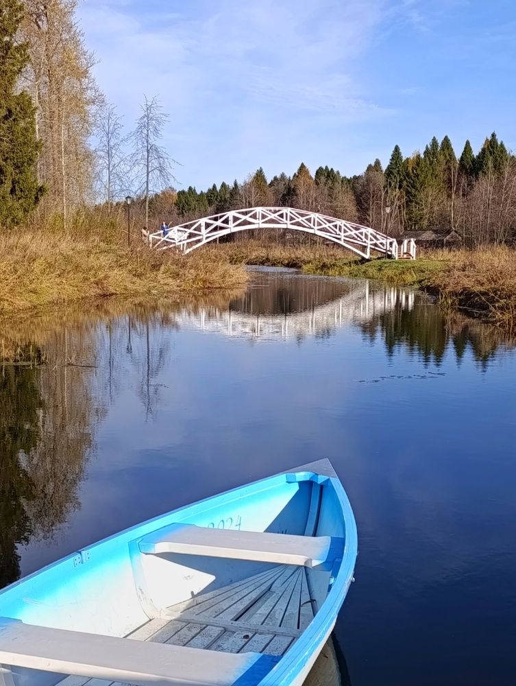 Фотография автора Андрей Шестаков