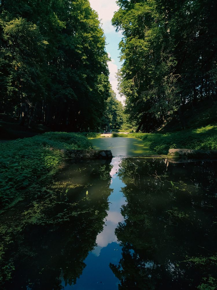 Photograph by Людмила Емельянчикова