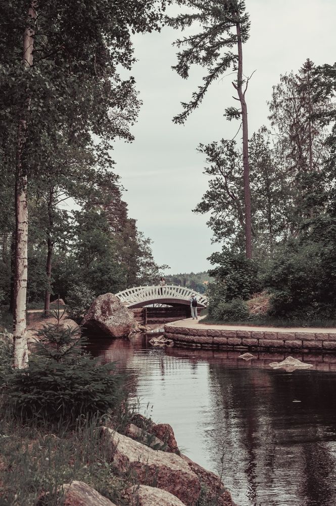 Photograph by Полина Котегова