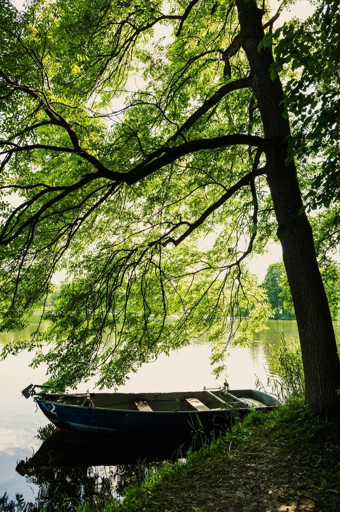 Photograph by Полина Котегова