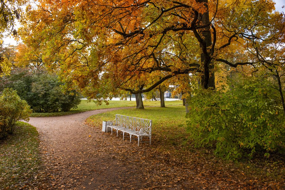 Photograph by Кулаков Юрий