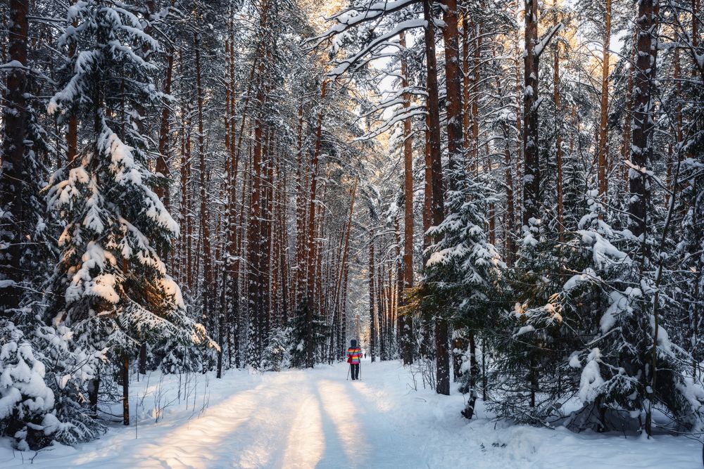 Photograph by Елена Соколова