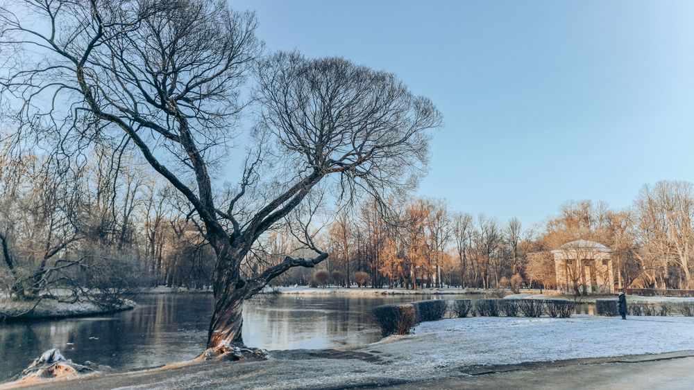 Photograph by Андрей Жидких