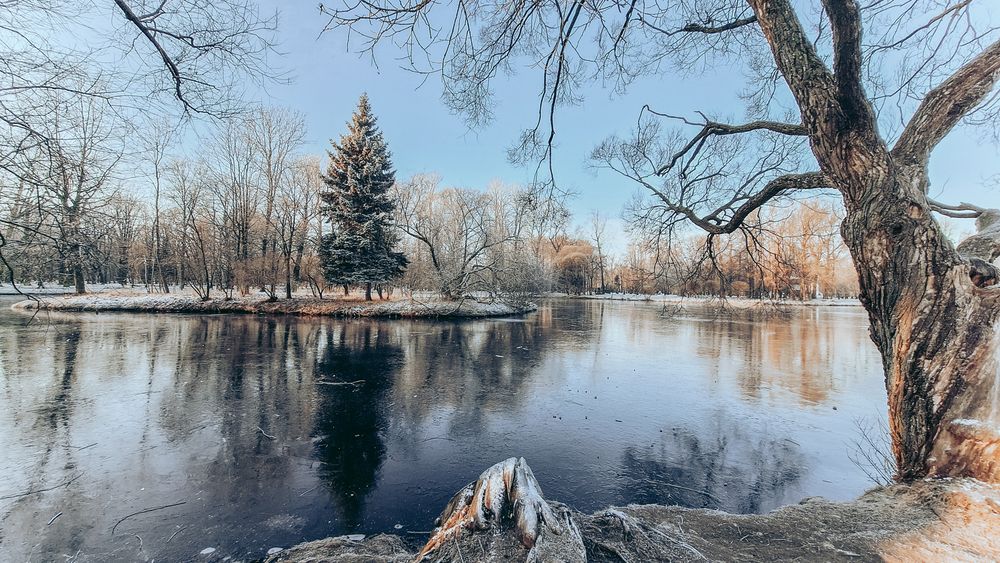 Photograph by Андрей Жидких