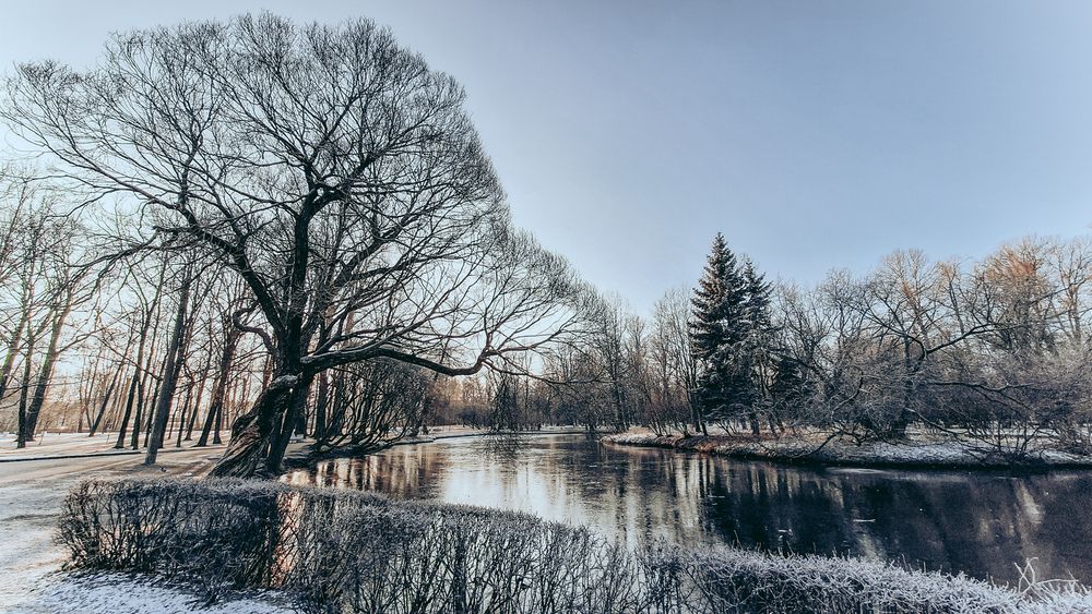 Photograph by Андрей Жидких