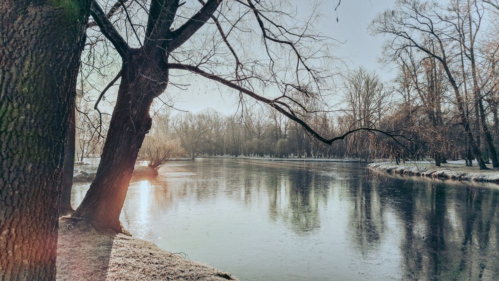 Photograph by Андрей Жидких