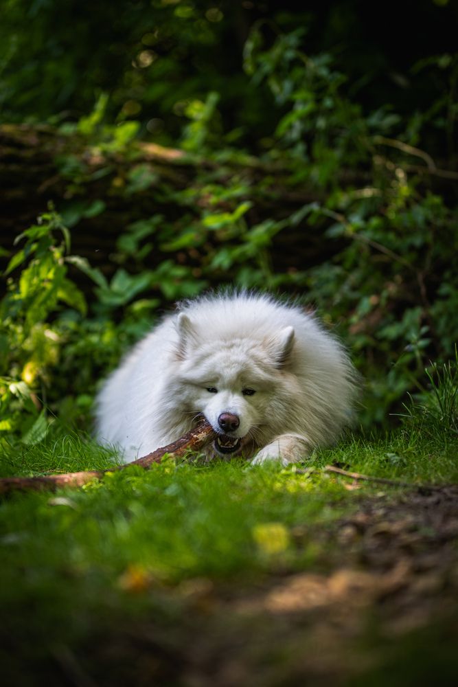 Photograph by Hanna Grochowicka