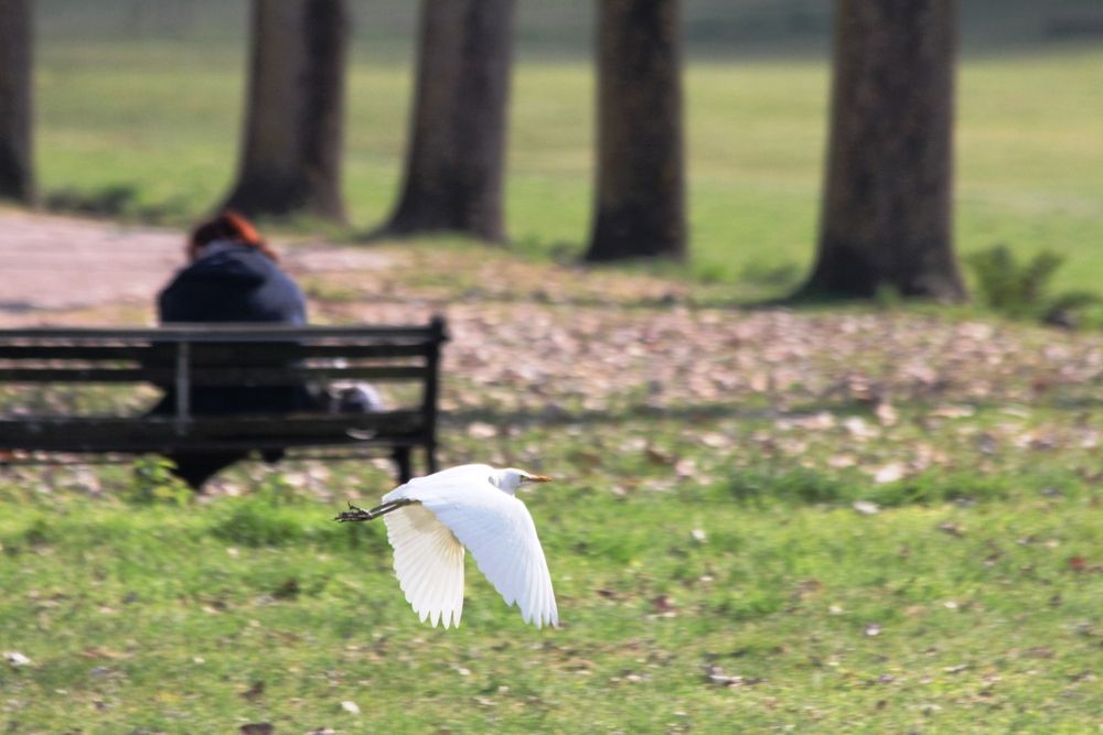 Photograph by Nadzeya