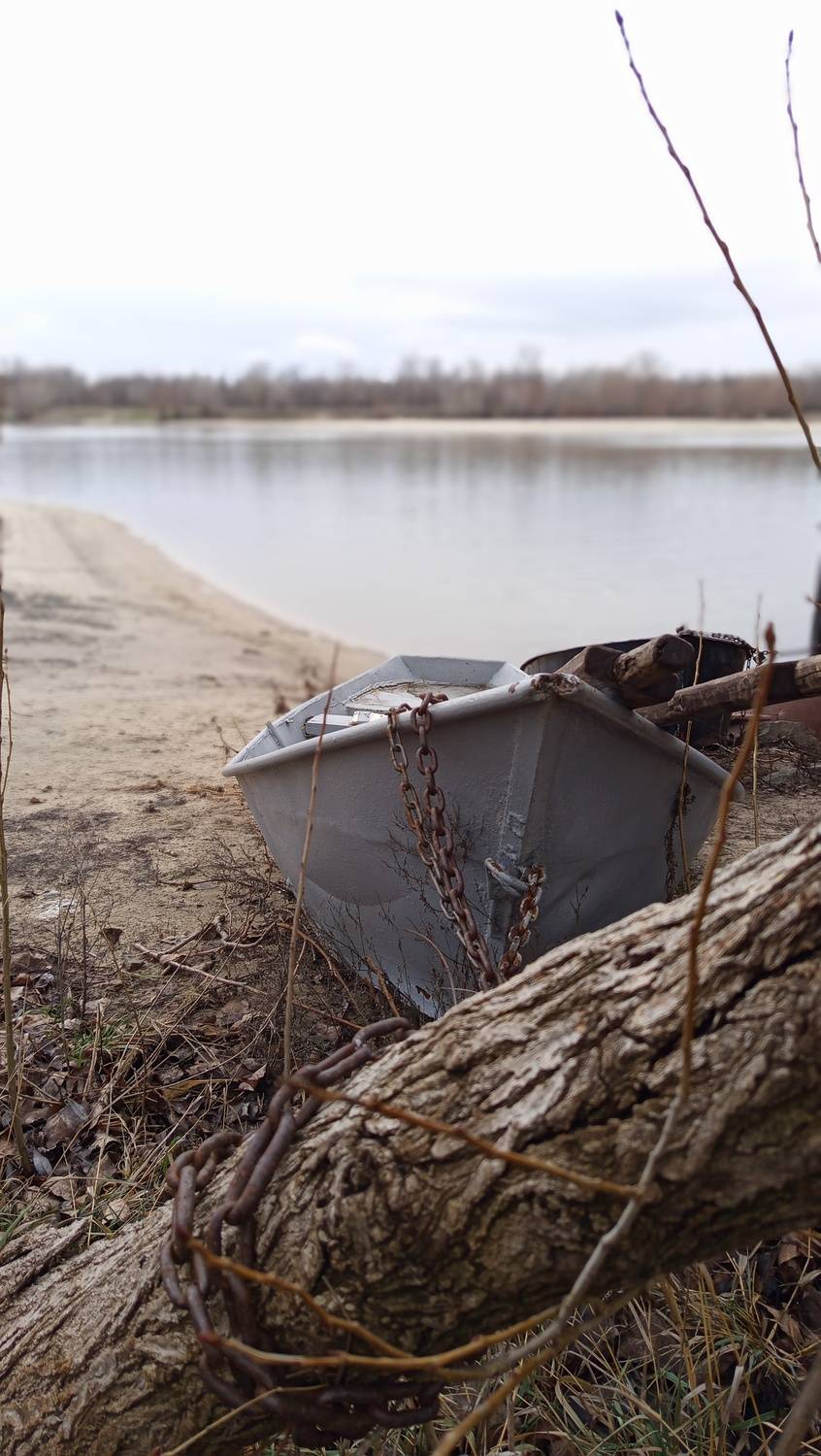 Photo #13045369