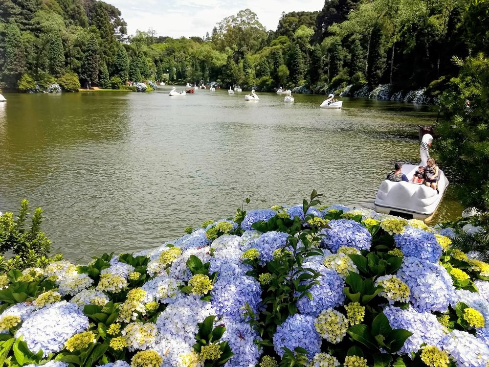 Фотография автора Rosane Cortez