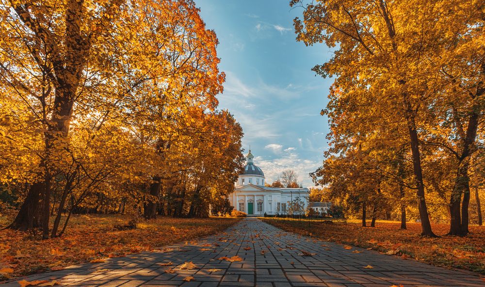 Photograph by Алексей Коврижных