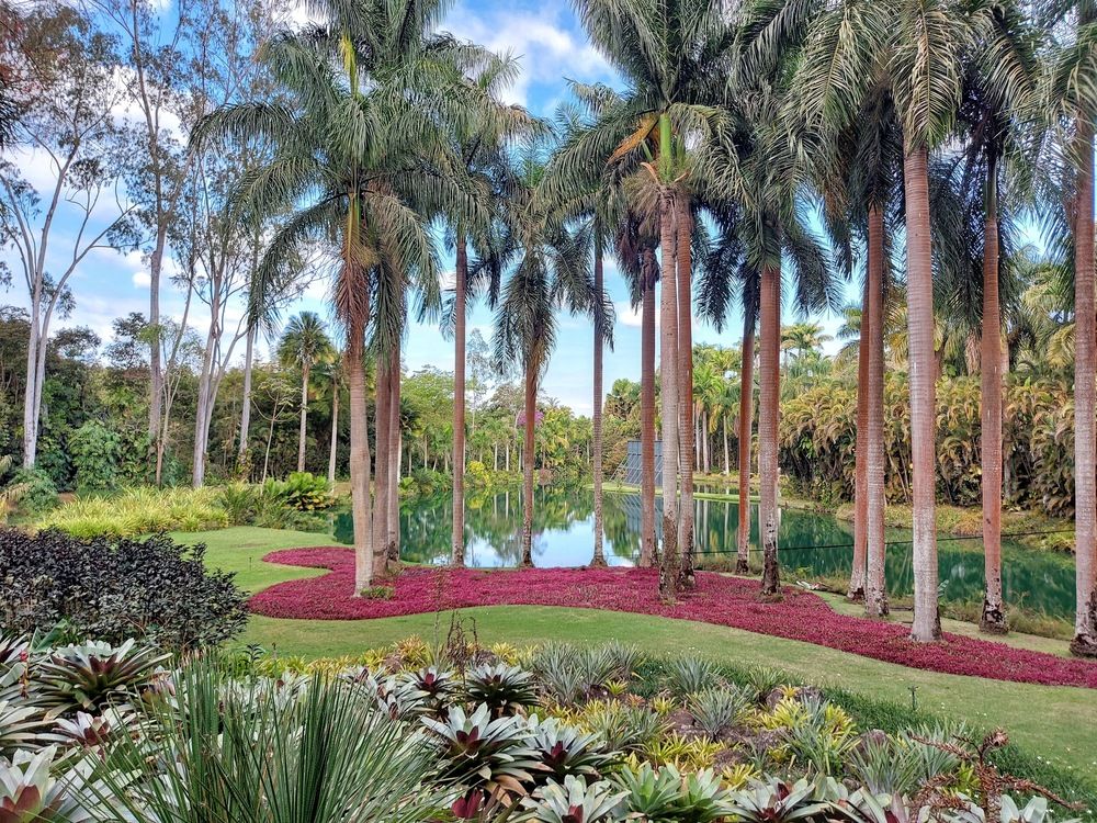 Фотография автора Rosane Cortez