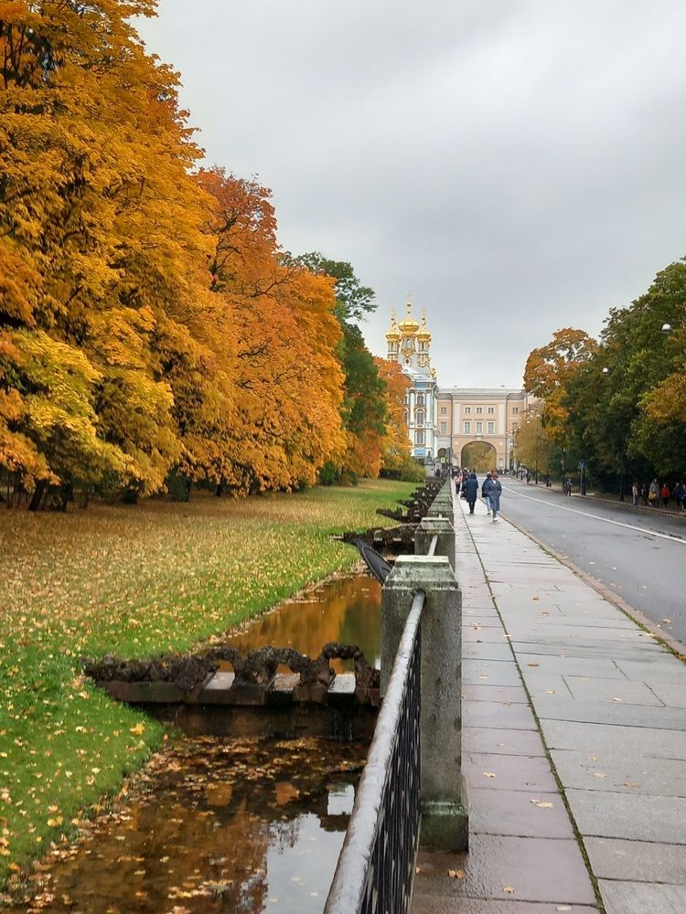 Фотография автора Анастасия