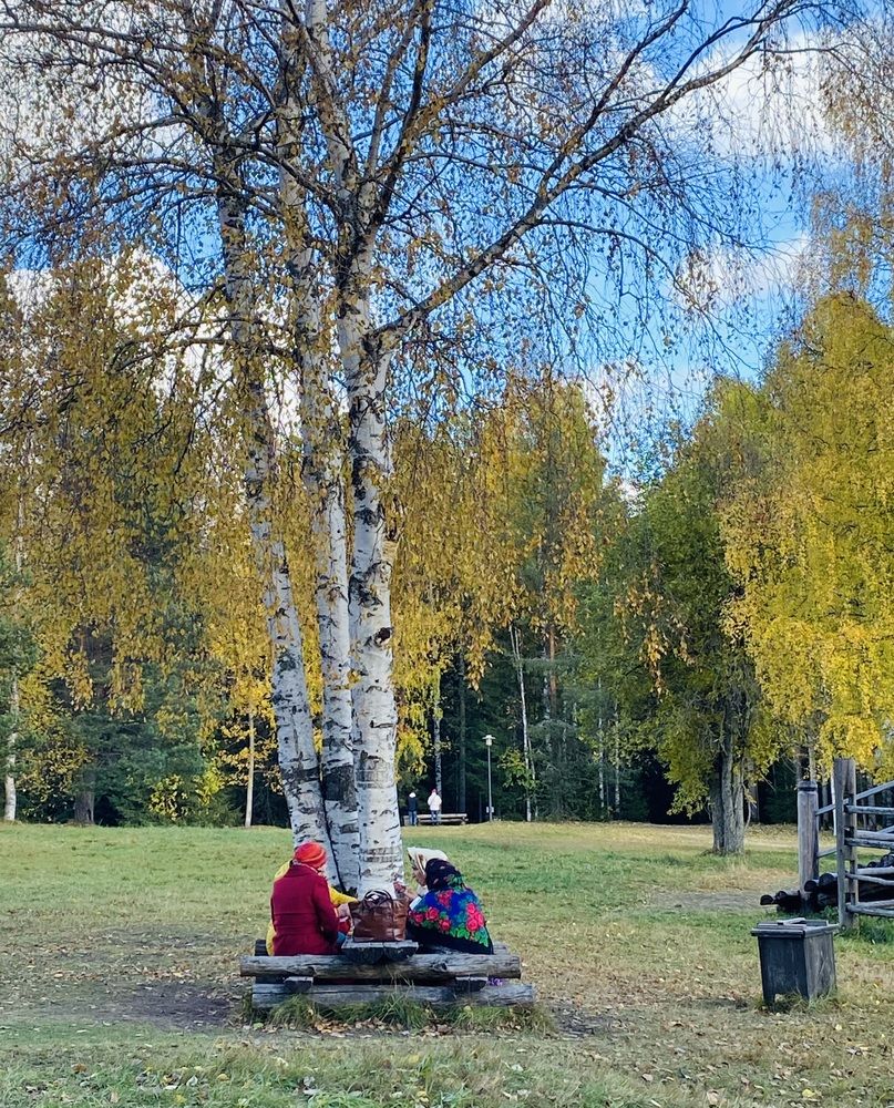 Photograph by Наталья Тарабычина