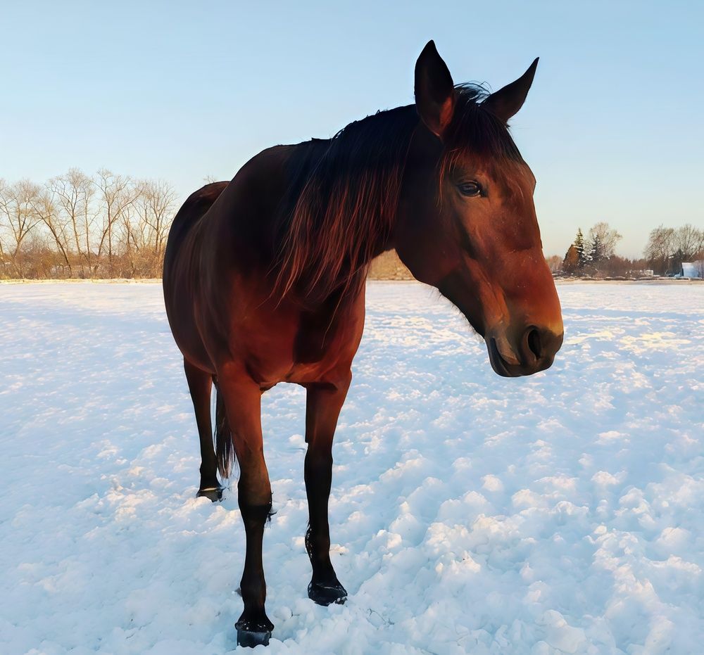 Photograph by Елена Сухорученкова