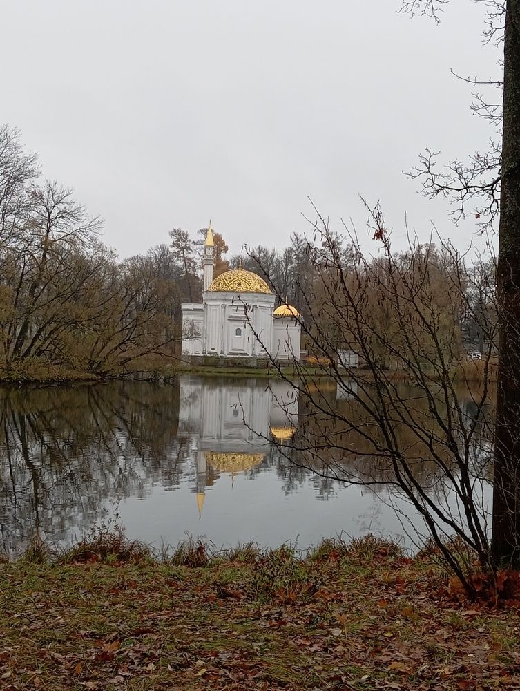 Photo #13045427