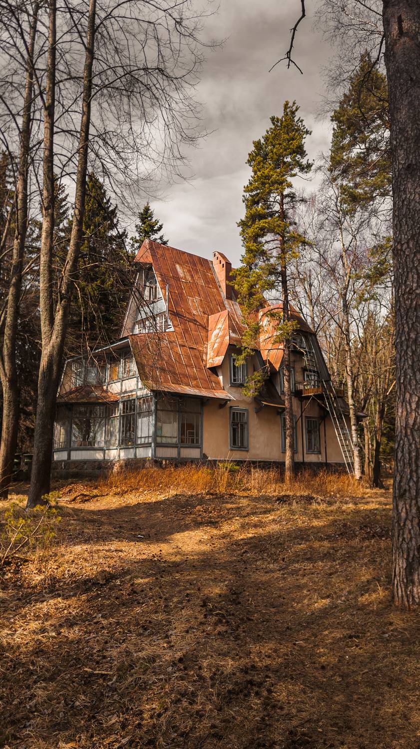 Photo #13045433