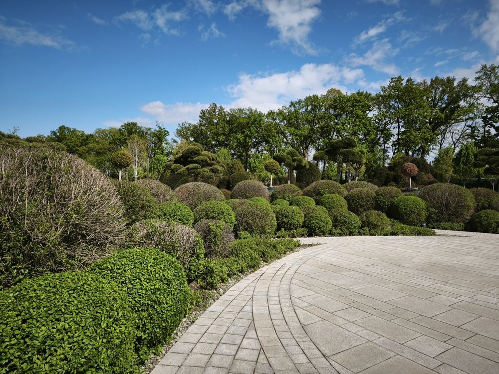 Фотография автора Татьяна Петренко