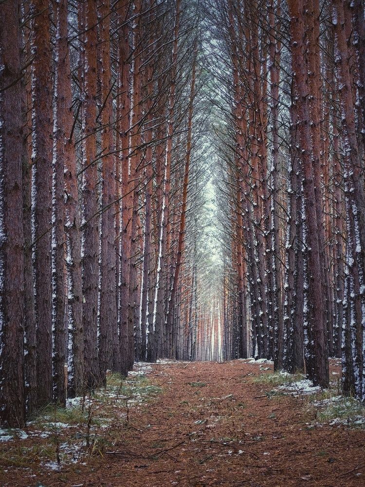 Photograph by Алексей Коврижных